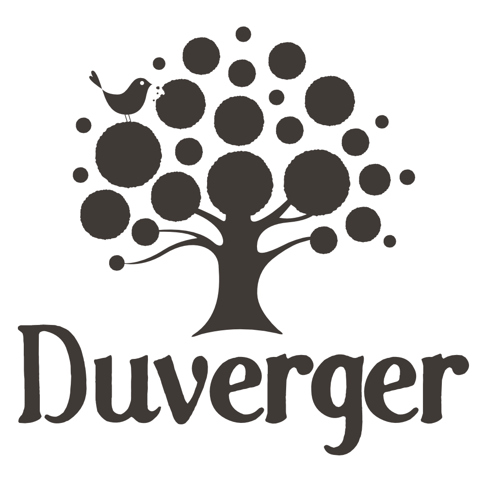 Wholesale Macarons by Duverger
